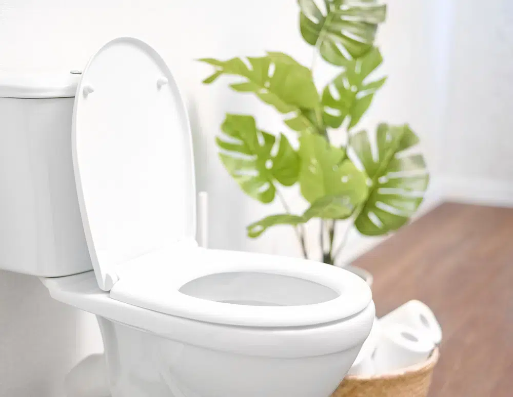Toilet in residential home in Elk Grove.