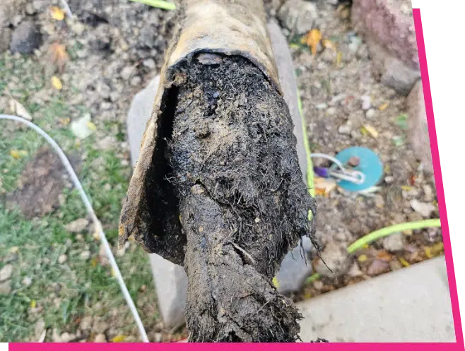Broken sewer line in Elk Grove.